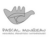 Identité visuelle - Pascal Moureau - icone